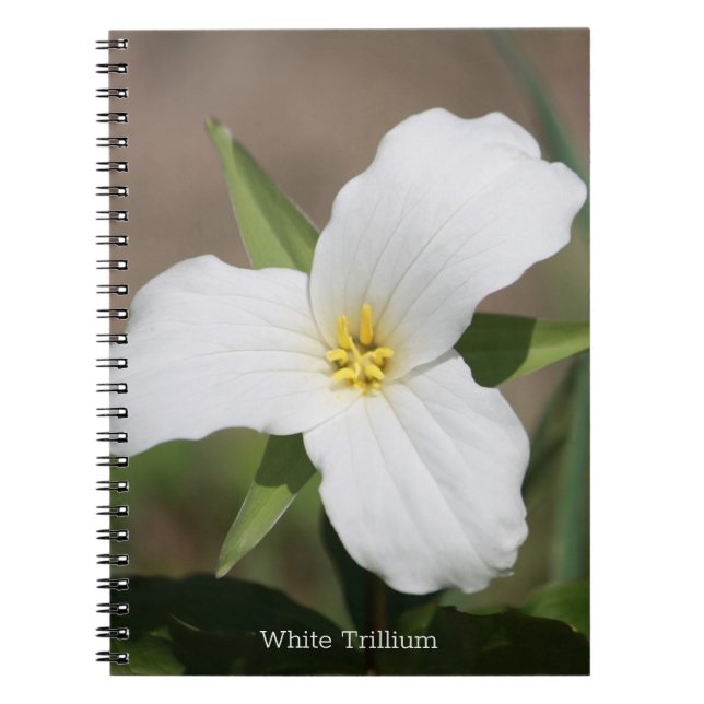Cuaderno Hermoso trillium blanco (Frente)