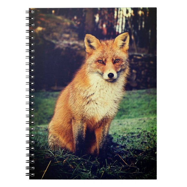 Cuaderno Hermoso Zorro Rojo (Frente)
