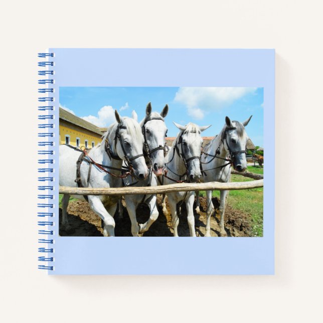 Cuaderno Hermosos caballos blancos (Anverso)