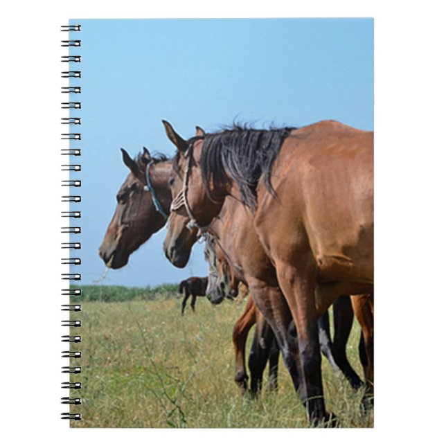 Cuaderno Hermosos caballos de Bahía (Frente)