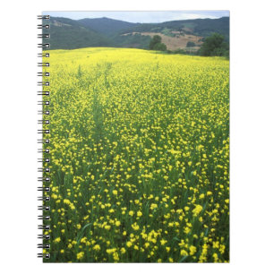 Cuaderno Hermosos campos amarillos cubiertos de flores de S