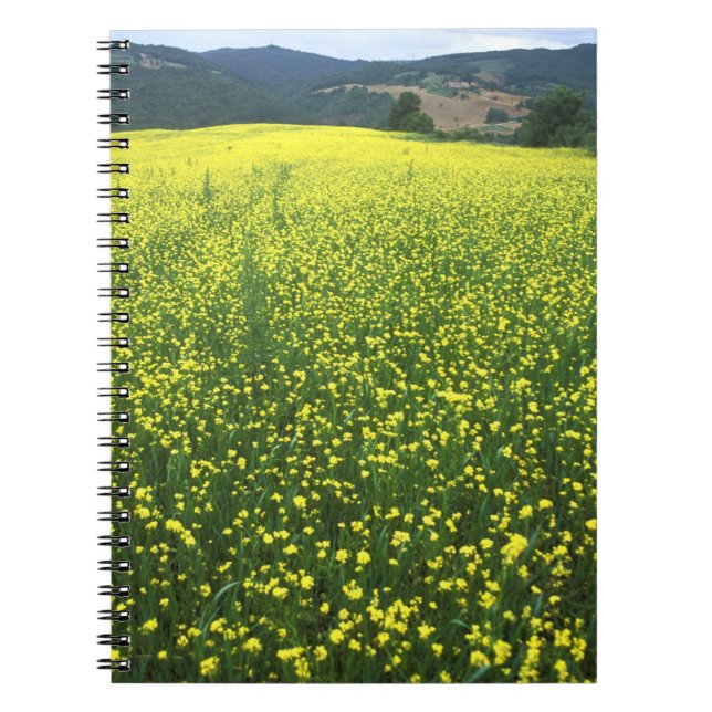 Cuaderno Hermosos campos amarillos cubiertos de flores de S (Frente)