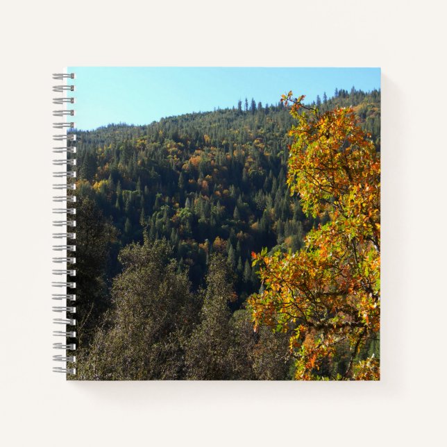Cuaderno Hermosos colores de otoño..... (Anverso)