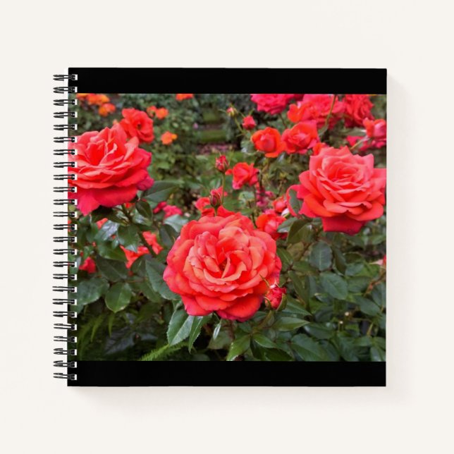 Cuaderno Hermosos Rosas, Portland, Oregón (Anverso)