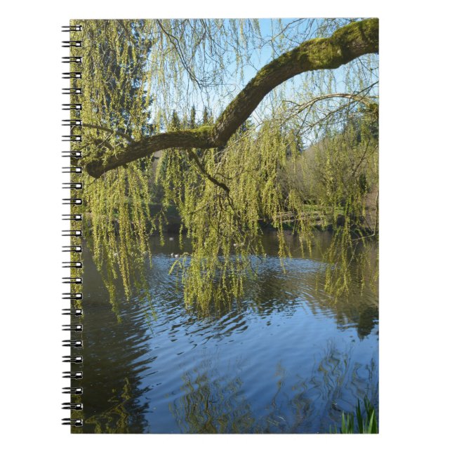 Cuaderno hermosos sauces de primavera junto a estanque de a (Frente)