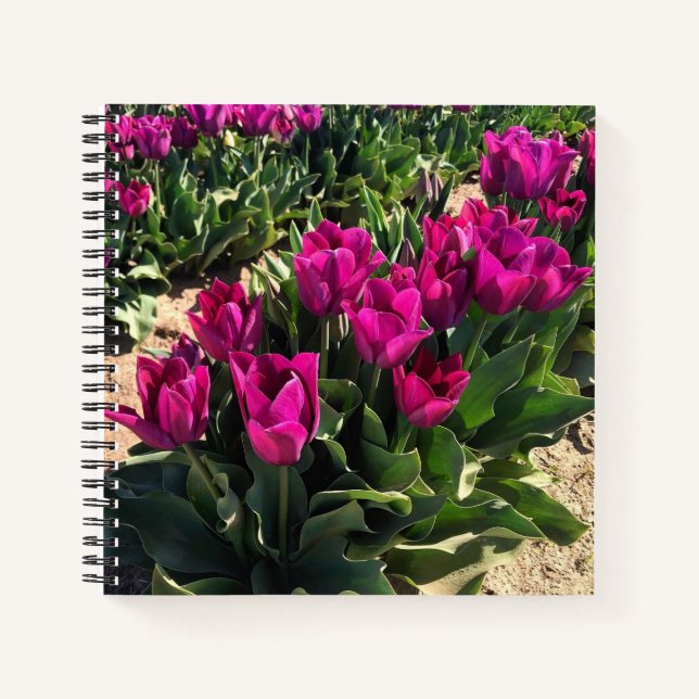 Cuaderno Hermosos Tulips (Anverso)
