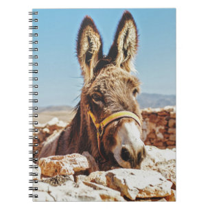 CUADERNO HI DONKEY