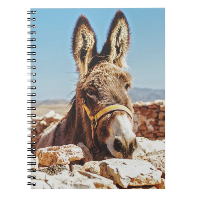 CUADERNO HI DONKEY (Frente)