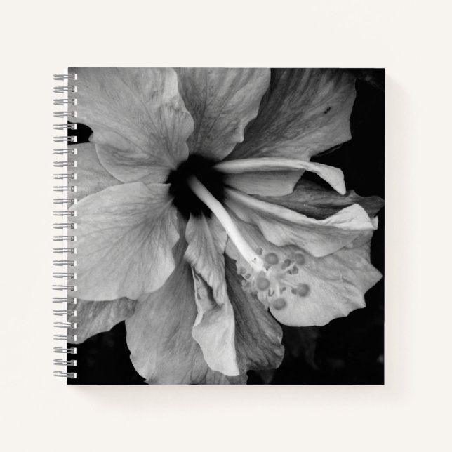 Cuaderno Hibisco  (Anverso)
