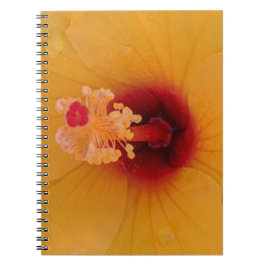 Cuaderno Hibiscus