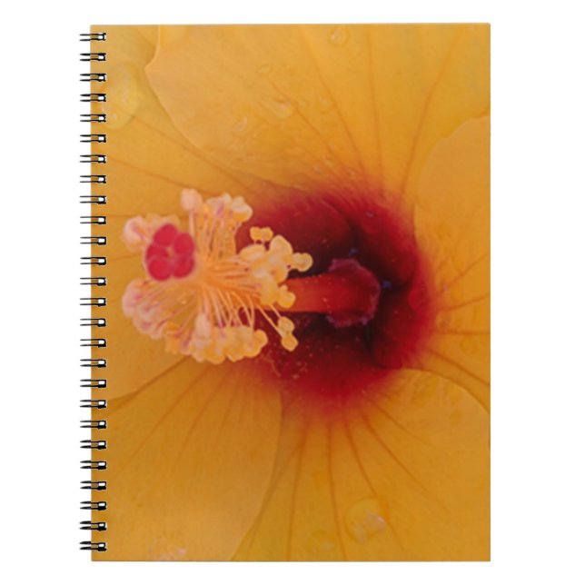 Cuaderno Hibiscus (Frente)