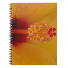 Cuaderno Hibiscus