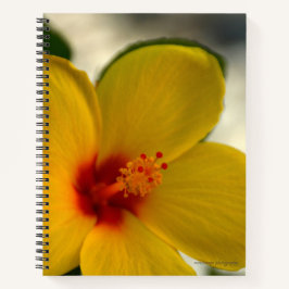 Cuaderno Hibiscus amarillo