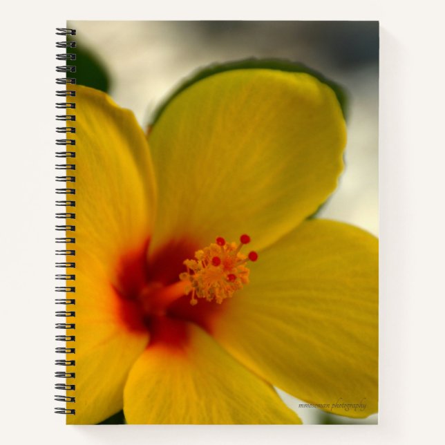 Cuaderno Hibiscus amarillo (Anverso)