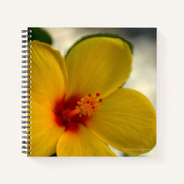 Cuaderno Hibiscus amarillo