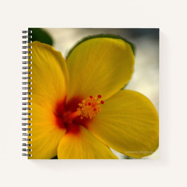 Cuaderno Hibiscus amarillo (Anverso)