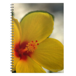 Cuaderno Hibiscus amarillo