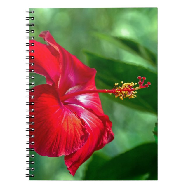 Cuaderno Hibiscus Blossom (Frente)