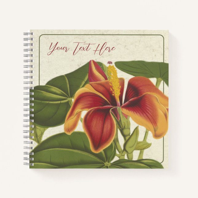 Cuaderno Hibiscus Elatus: Un bloc de notas tropical (Anverso)