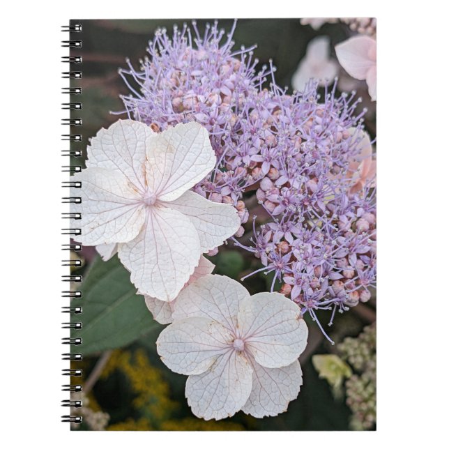 Cuaderno Hidrangea Blanca Aspera Floral (Frente)