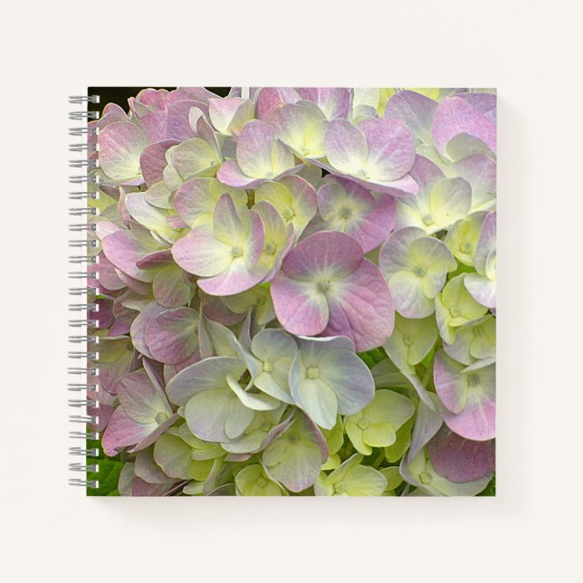 Cuaderno Hidrangea Flower (Anverso)
