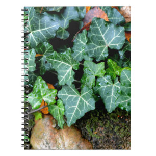 Cuaderno Hiedra botánica verde y piedra de campo