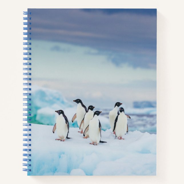 Cuaderno Hielo y nieve | Adelie Penguins Antártida (Anverso)