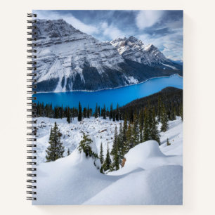 Cuaderno Hielo y nieve   Lago Peyto, Rockies Canadienses