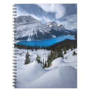 Cuaderno Hielo y nieve   Lago Peyto, Rockies Canadienses