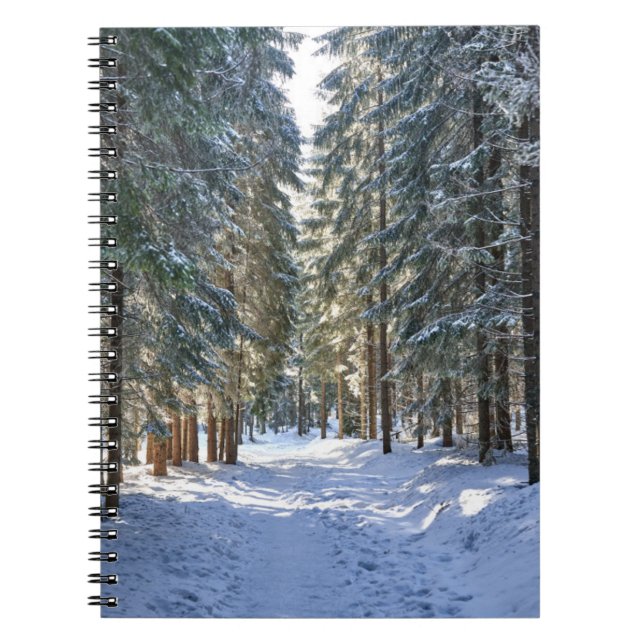 Cuaderno Hielo y nieve | Montañas Tatra, Polonia (Frente)