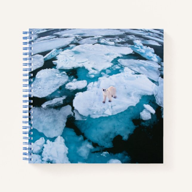 Cuaderno Hielo y nieve | Oso Polar, Océano Ártico, Svalbard (Anverso)