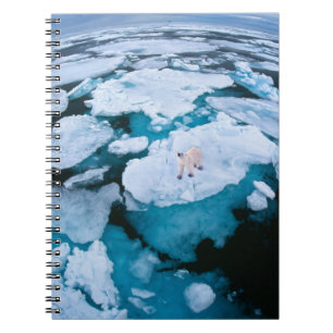 Cuaderno Hielo y nieve   Oso Polar, Océano Ártico, Svalbard
