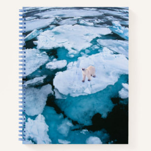 Cuaderno Hielo y nieve   Oso Polar, Océano Ártico, Svalbard