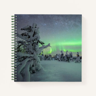 Cuaderno Hielo y nieve   Parque nacional Pallas-Yllastuntur