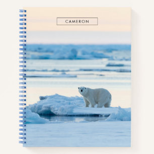 Cuaderno Hielo y nieve   Polar Bear Iceberg Noruega