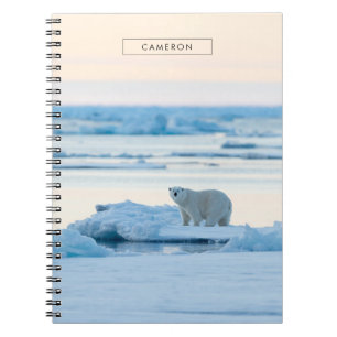 Cuaderno Hielo y nieve   Polar Bear Iceberg Noruega