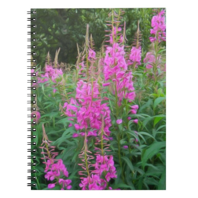 Cuaderno Hierba de fuego (Frente)