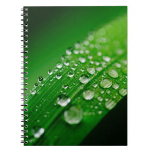 Cuaderno Hierba de la naturaleza del rocío de la hoja de ag