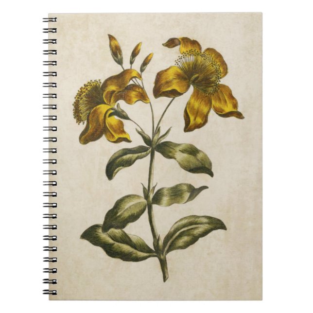 Cuaderno Hierba de San Juan (Frente)