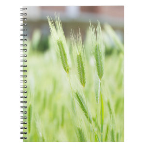 Cuaderno Hierba verde