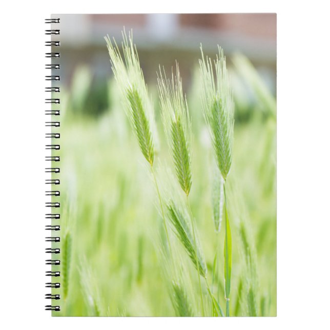 Cuaderno Hierba verde (Frente)