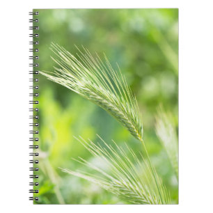 Cuaderno Hierba verde