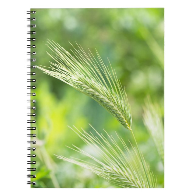 Cuaderno Hierba verde (Frente)