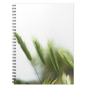 Cuaderno Hierba verde