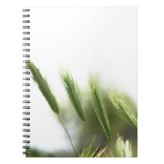 Cuaderno Hierba verde (Frente)