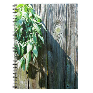 Cuaderno Hierbas verdes botánicas grano de madera afligido