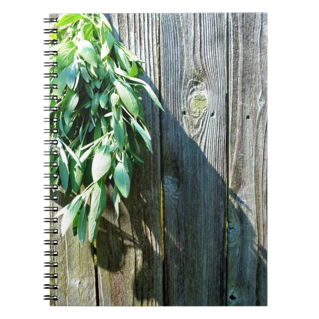 Cuaderno Hierbas verdes botánicas grano de madera afligido (Frente)