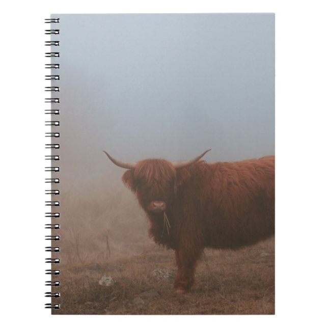 CUADERNO HIGHLAND CATTW COW (Frente)