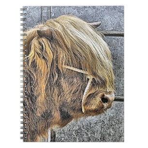 CUADERNO HIGHLAND COW