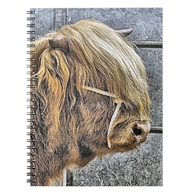 CUADERNO HIGHLAND COW (Frente)